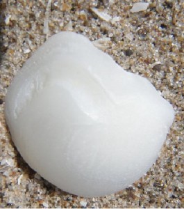 Lucky Stones