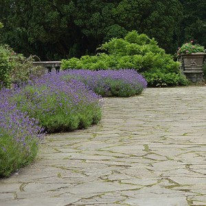 Flagstone patio