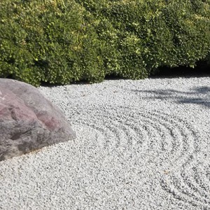 Japanese garden