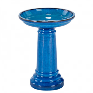 bird bath 