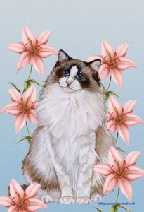 cat flag