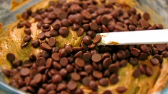 Chocolate Chip Crumb Cake