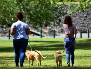women walking with dogs