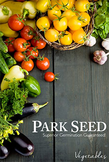 park seed catalog