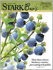 stark bros catalog