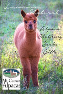Mt. Caesar Alpacas at Catalogs.com
