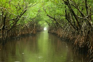 everglades places to visit in florida