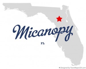 Micanopy Florida map
