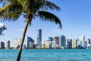 Miami Downtown Skyline places to visit in florida