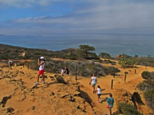 Torrey Pines State Reserve, California