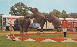 circus world