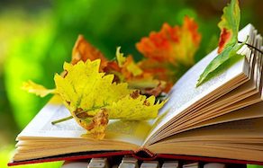 books to read this fall