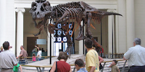 unique museums