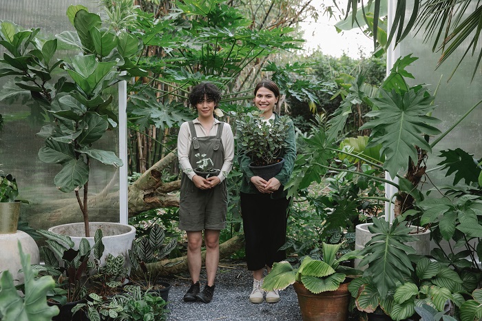 Buying plants for the Garden