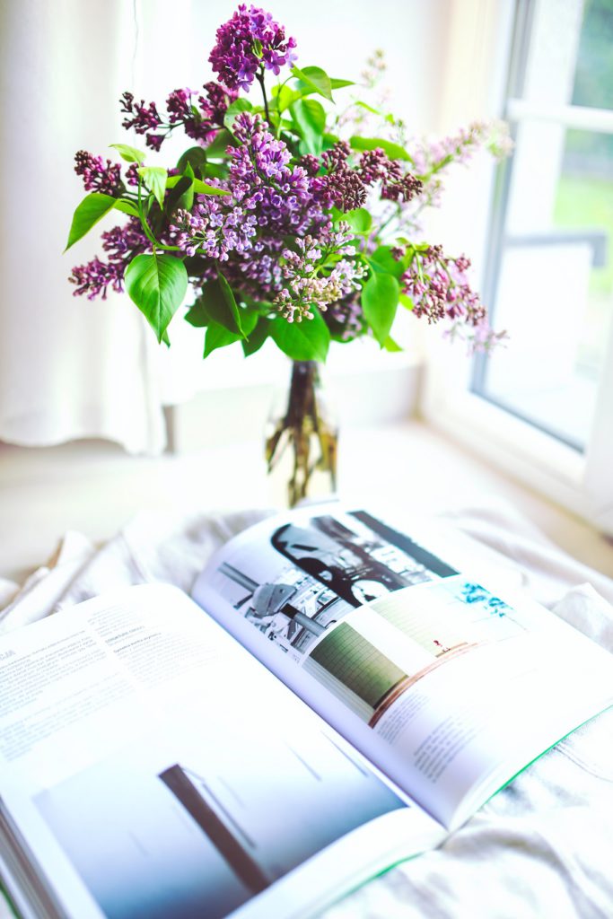elderberry natural remedy