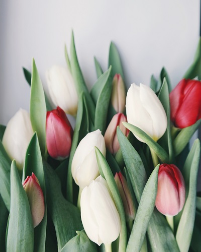 Bouquet of flowers for Mother's day