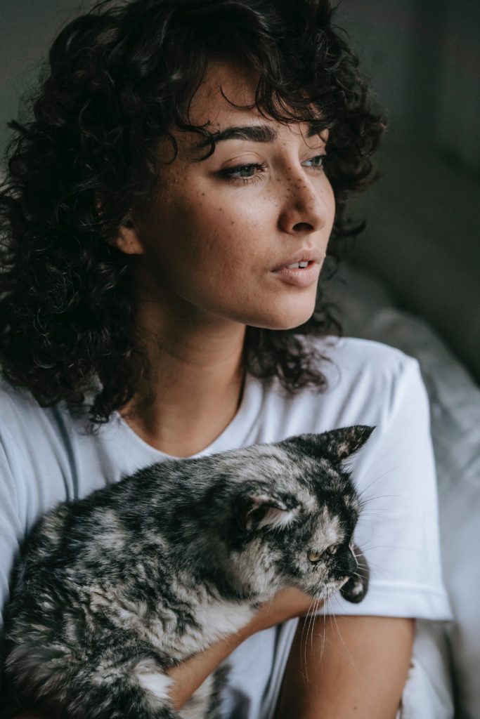 pet insurance