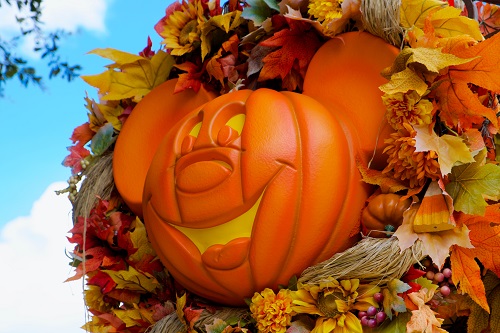 pumpkin patch