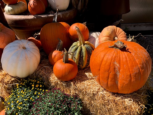 Fall Porch Decorating