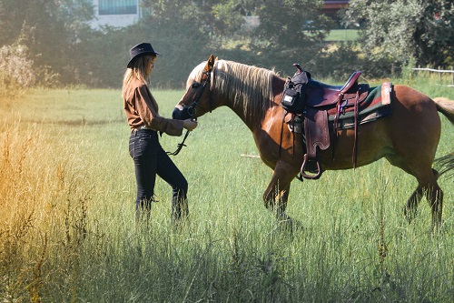 Horseback Riding in the Fall