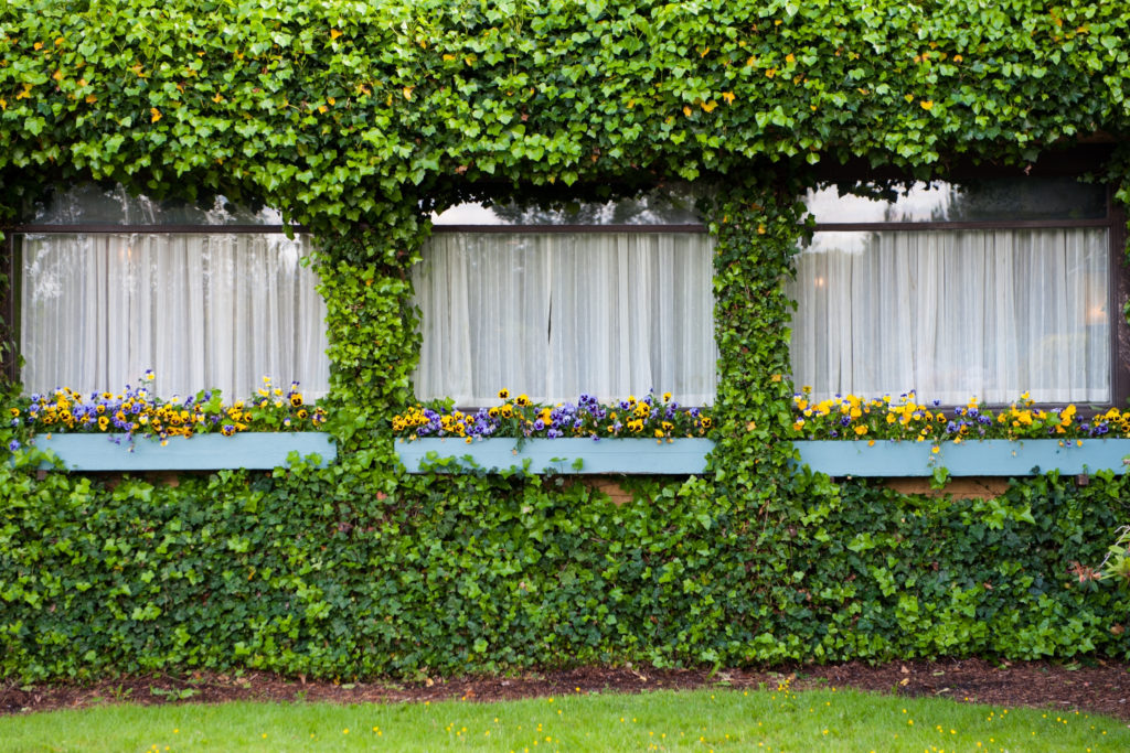Landscape Gardening