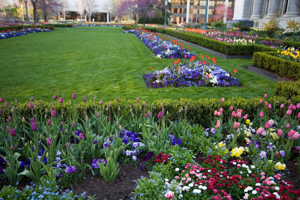 Landscape Gardening