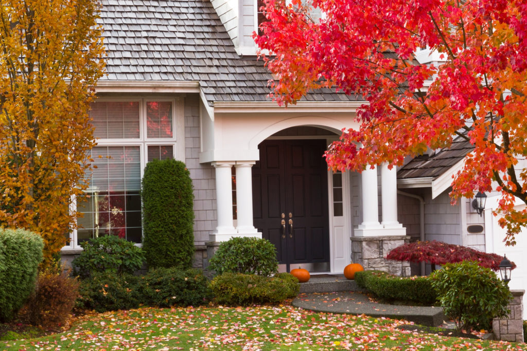 fall decor