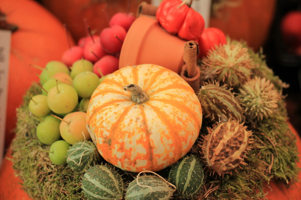thanksgiving hacks