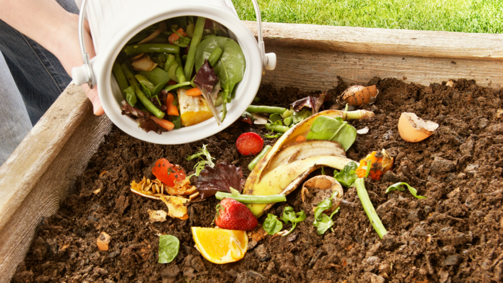 earth-friendly garden tips 
