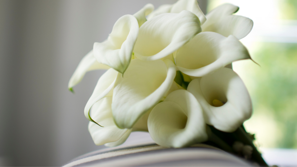 wedding bouquet ideas