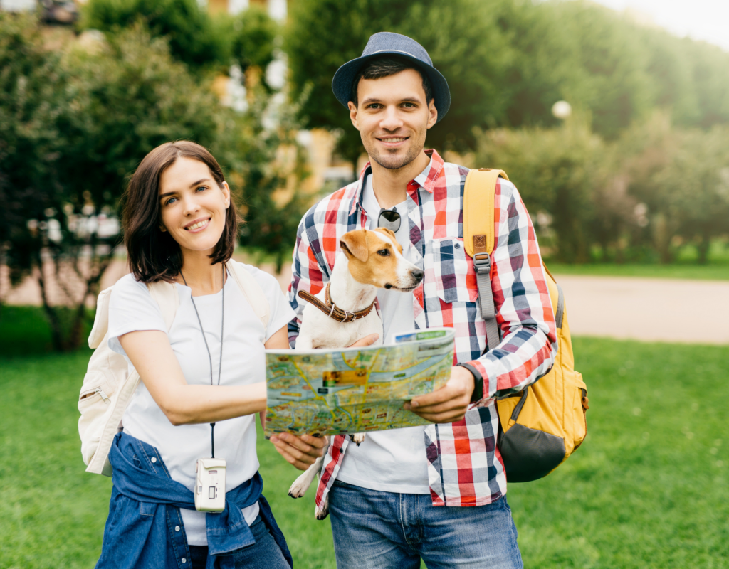 traveling with pets cats and dogs
