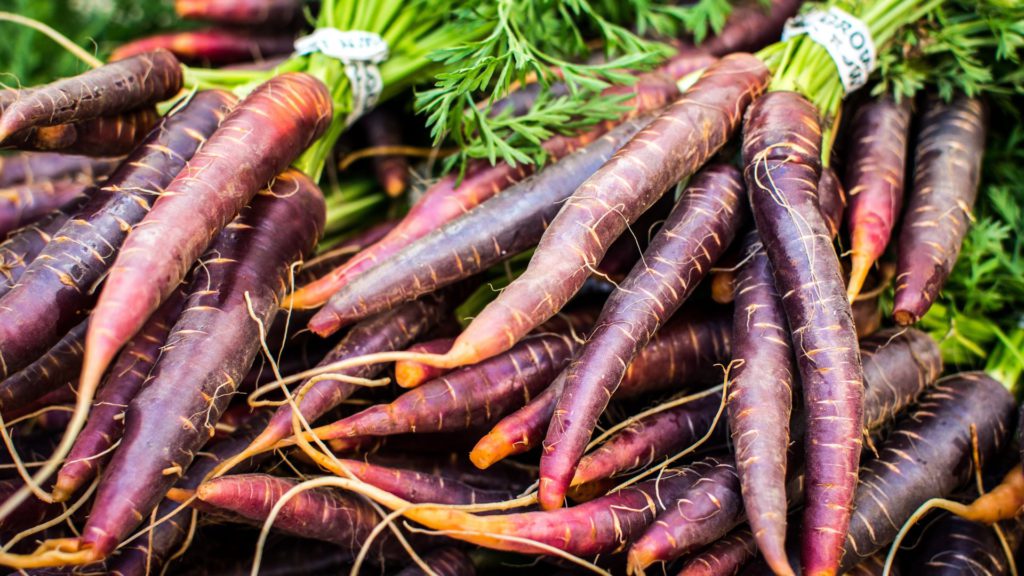 vegetables for your summer garden