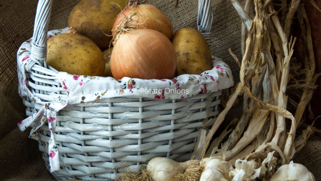 summer garden vegetables