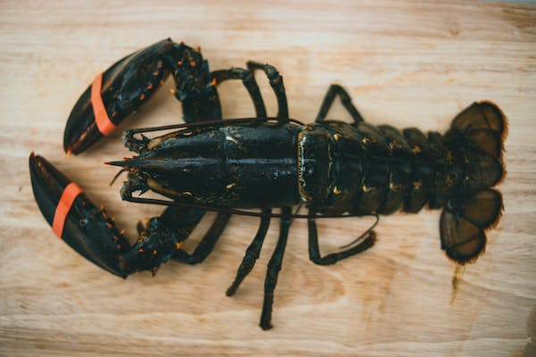 seafood delight