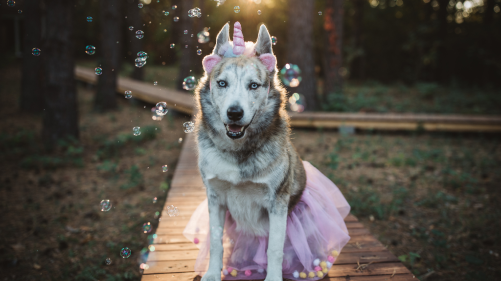 best dog Halloween costumes