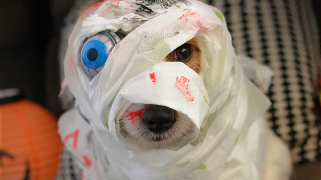 unique dog Halloween costumes this year
