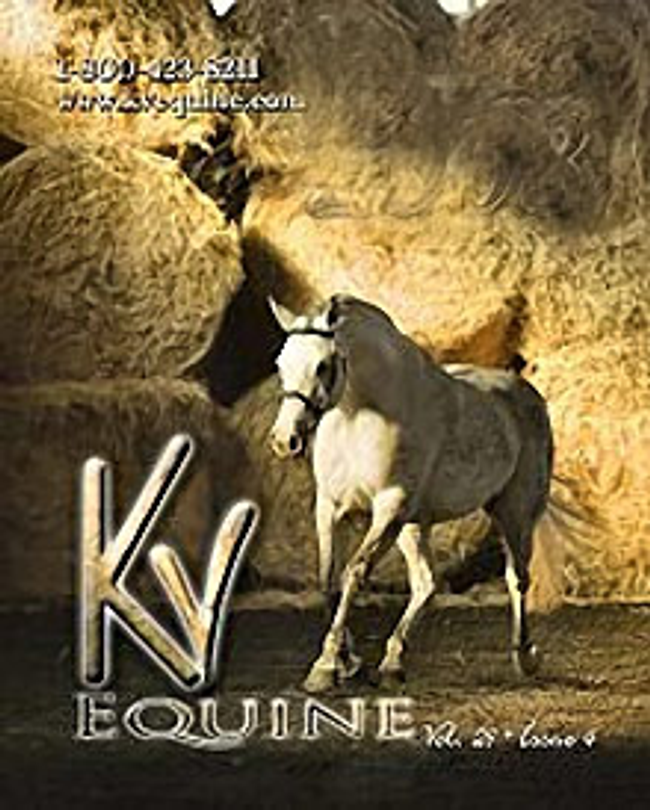 KV Vet Supply Catalog Cover