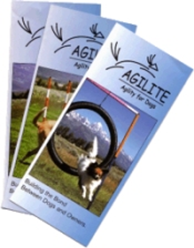 Agilite - Agility for Dogs Catalog Cover