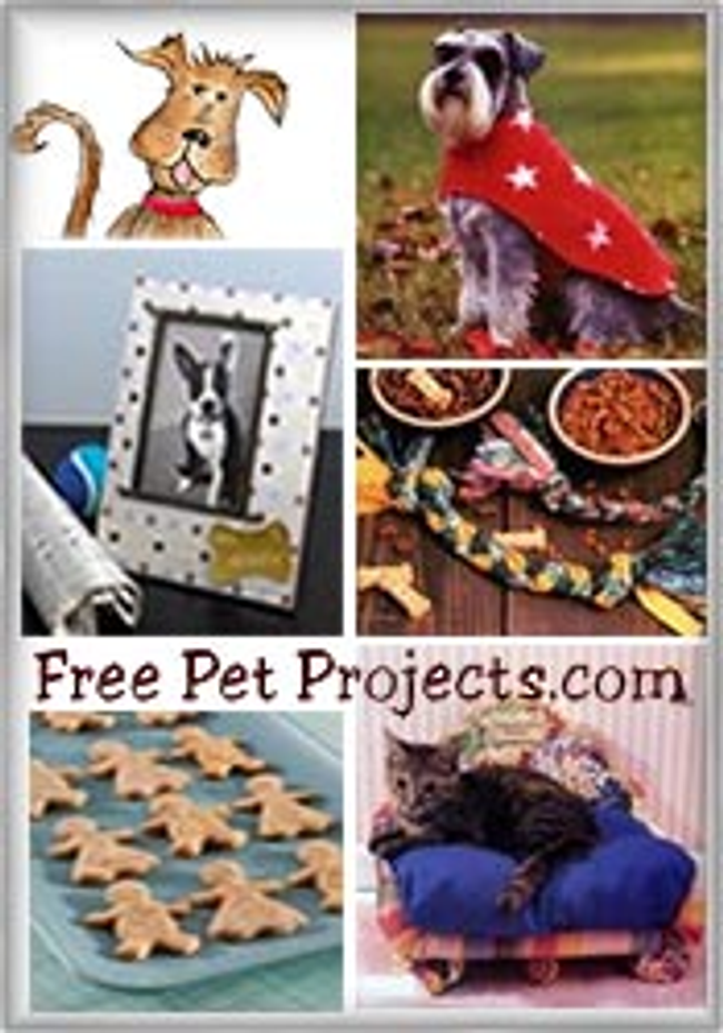 Free Pet Projects Catalog Cover