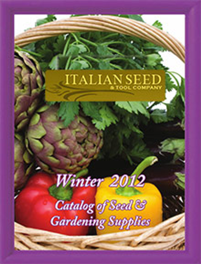 Italian Seed Catalog Cover