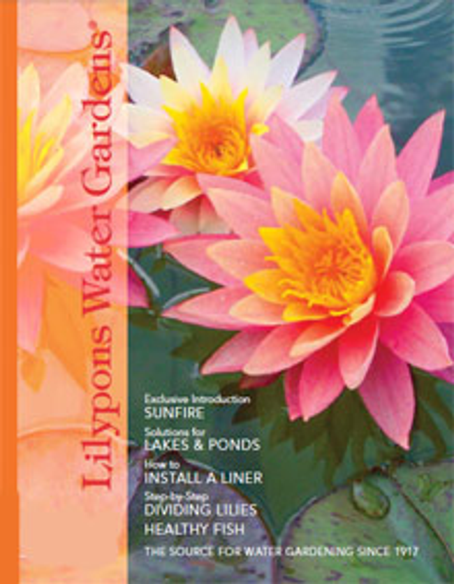 Lilypons Catalog Cover