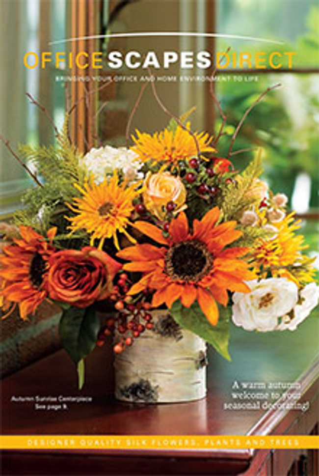 OfficeScapesDirect Catalog Cover