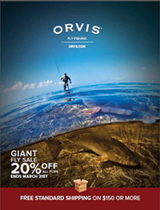 Mail Order Catalogs 2023, Free Sporting Goods Store Catalogs & Coupon Codes