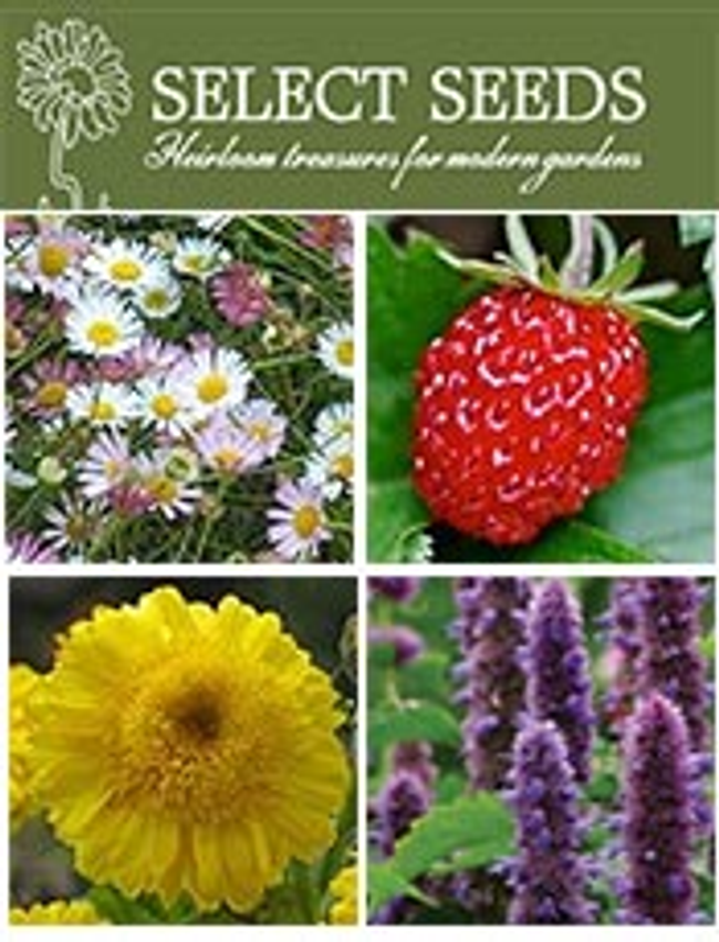 Select Seeds Catalog Cover