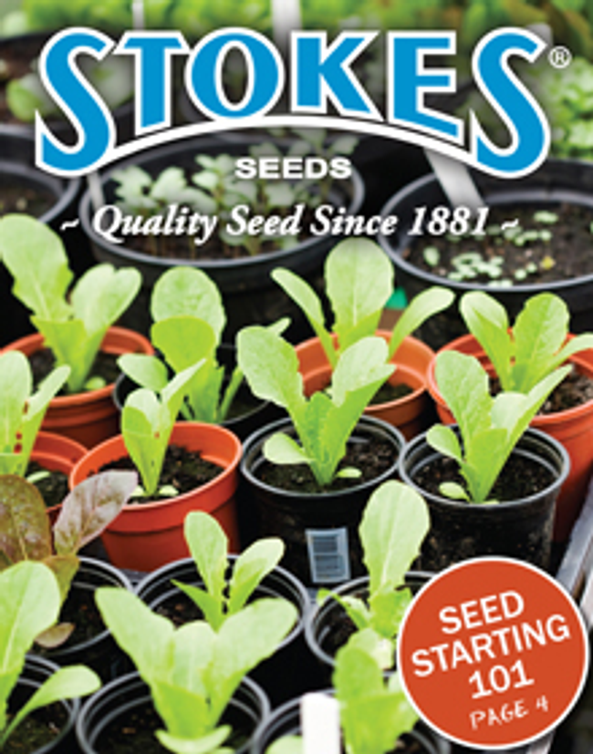 Stokes Seeds Catalog Cover