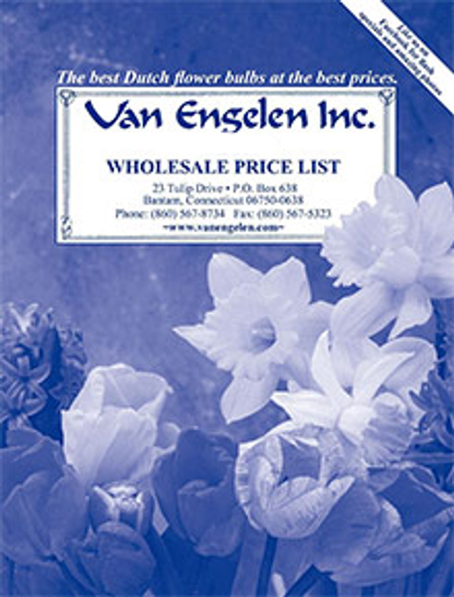 Van Engelen Catalog Cover