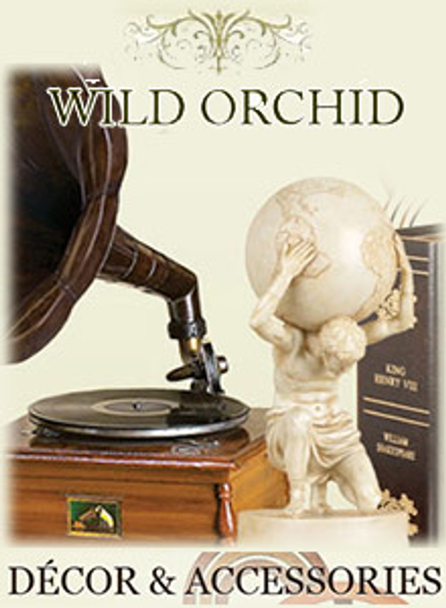 Wild Orchid Catalog Cover