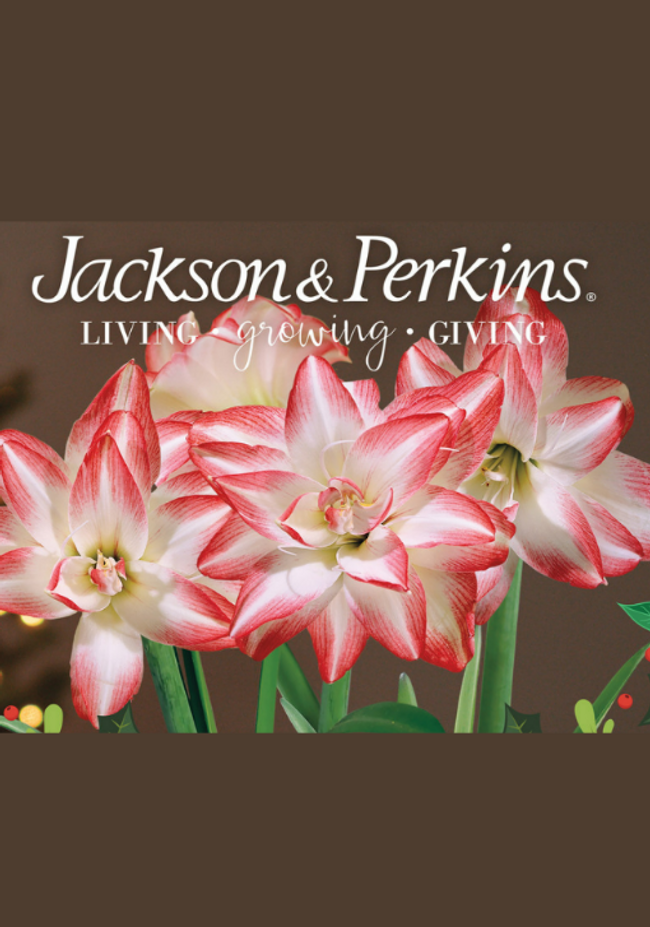Jackson & Perkins Catalog Cover