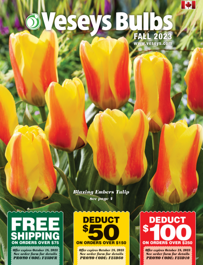 Veseys Bulbs Catalog Cover