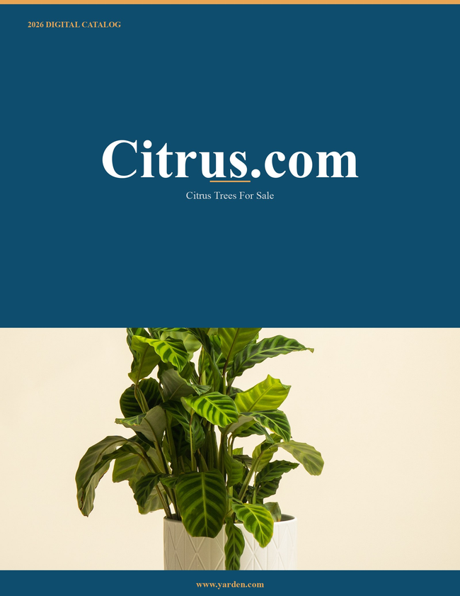 Citrus.com 2026 Catalog Catalog Cover